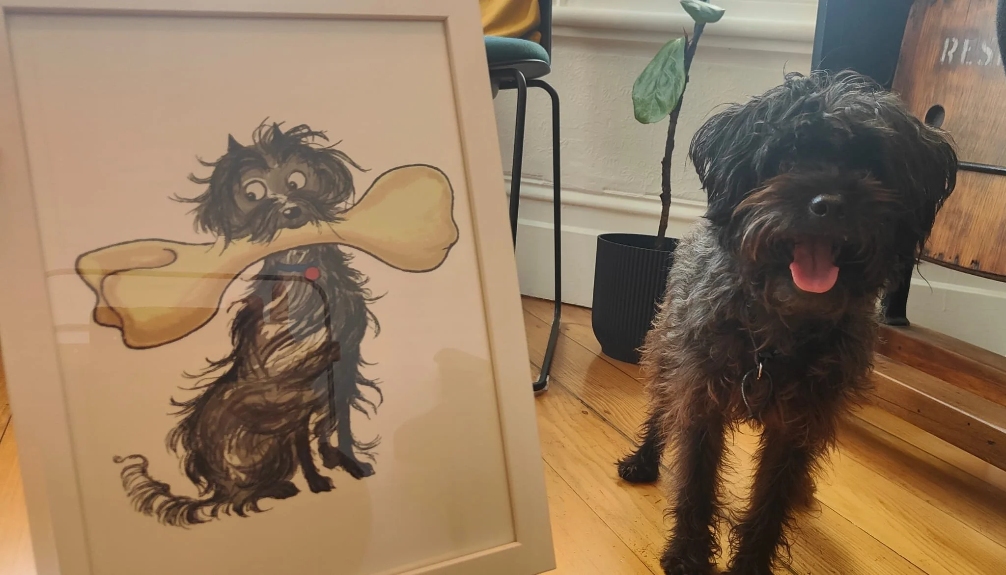 Millie : Hairy Maclary.jpg