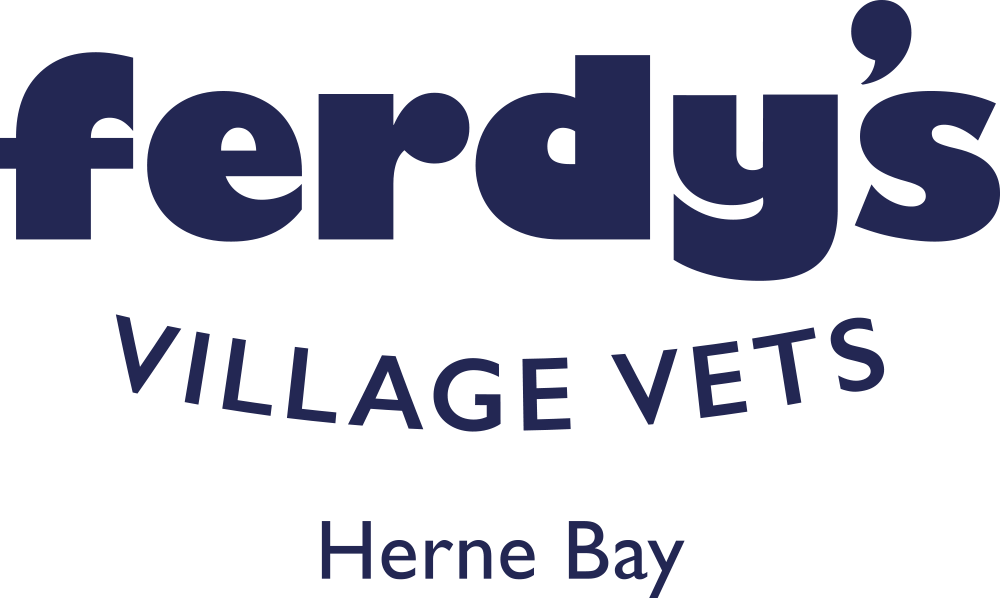 ferdy’s village vets