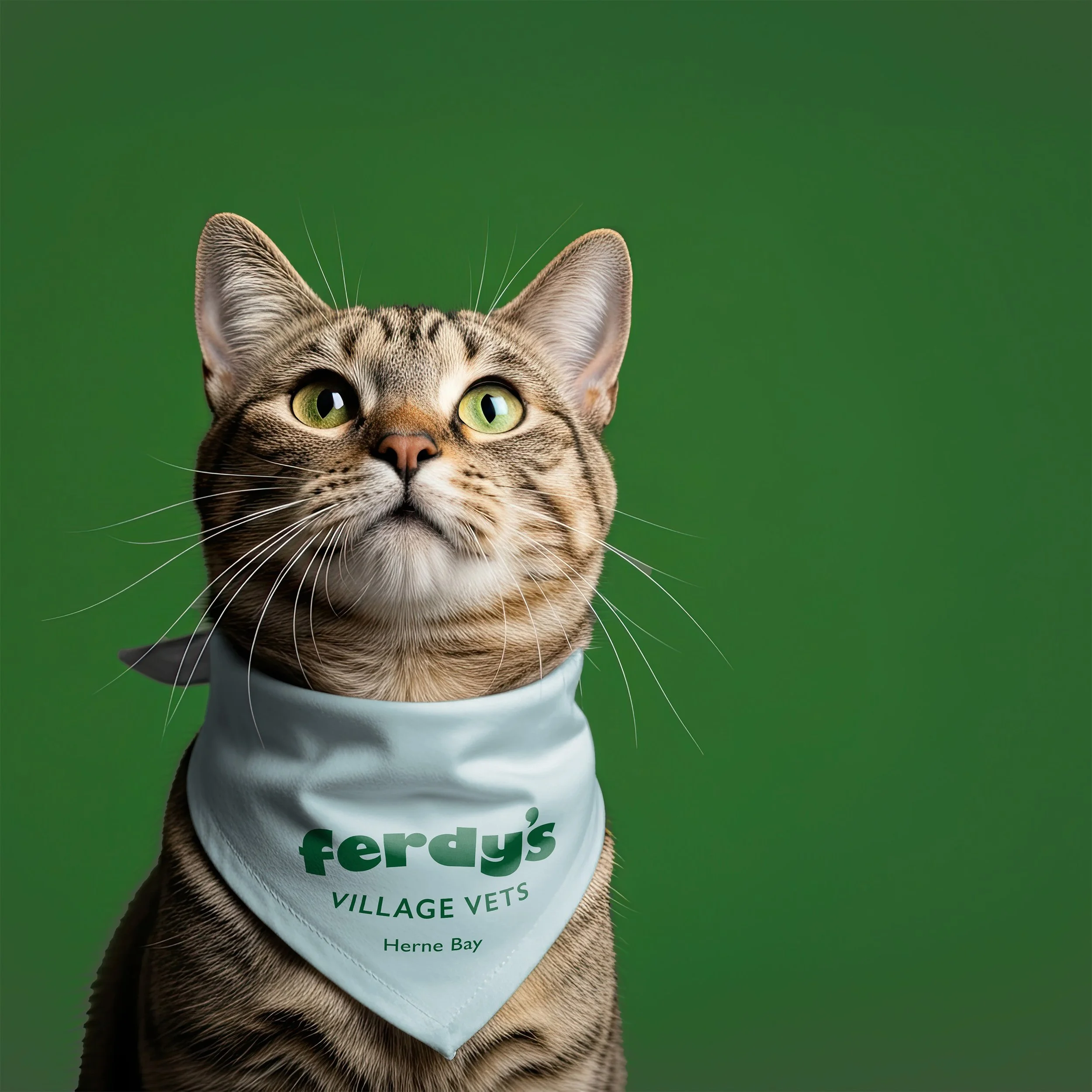 Tabby cat wearing a Ferdy's Village Vets bandana