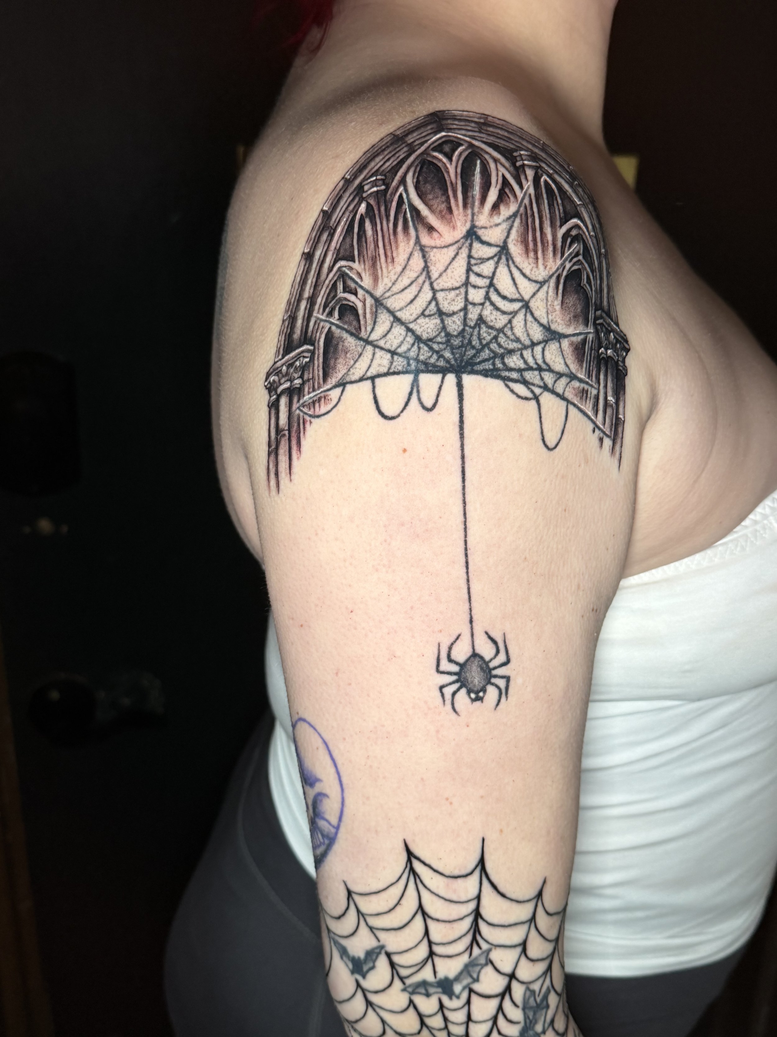 Spider web within Gothic arch 