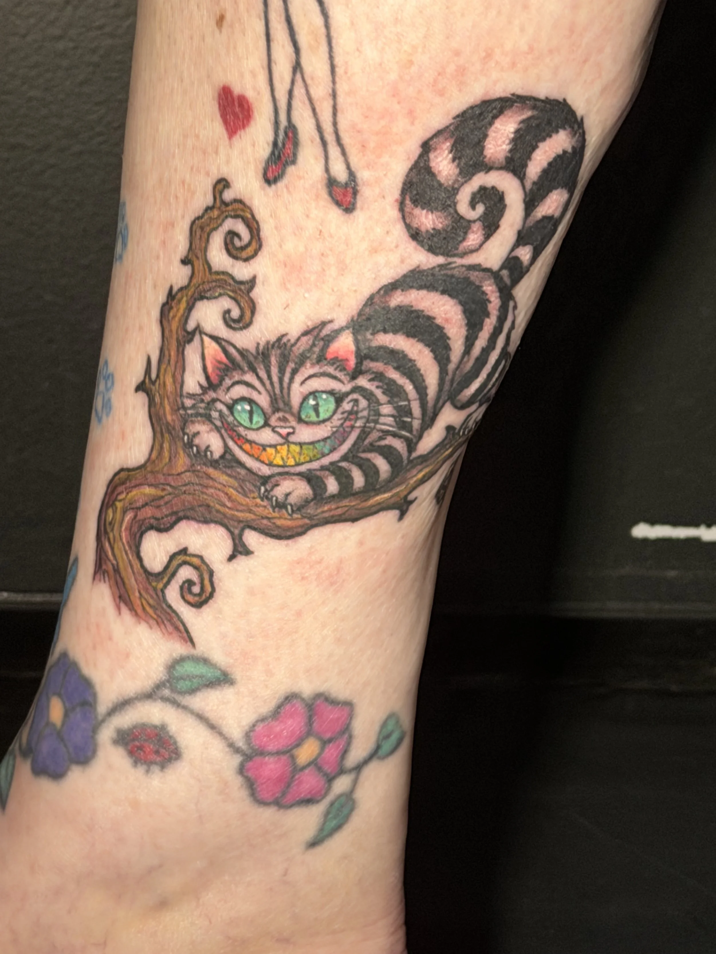 Cheshire Cat with rainbow teeth
