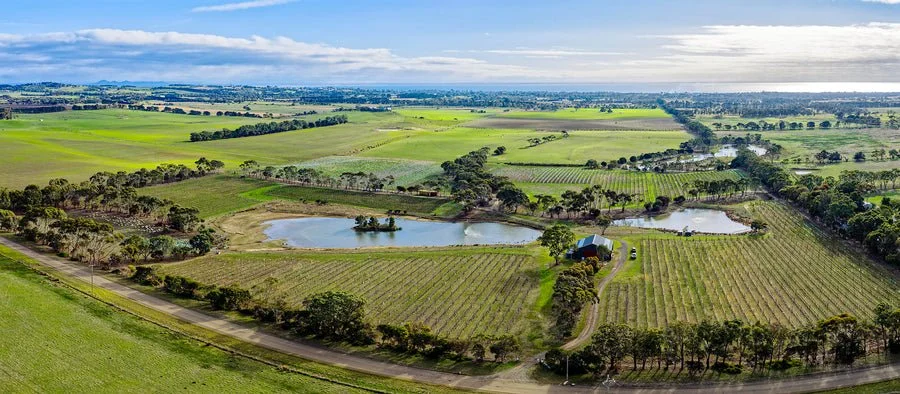 Our Inaugural Cellar Door Pop-Up- November 2025