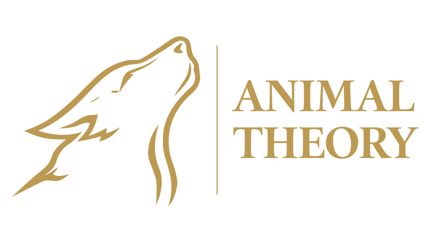 Animal Theory