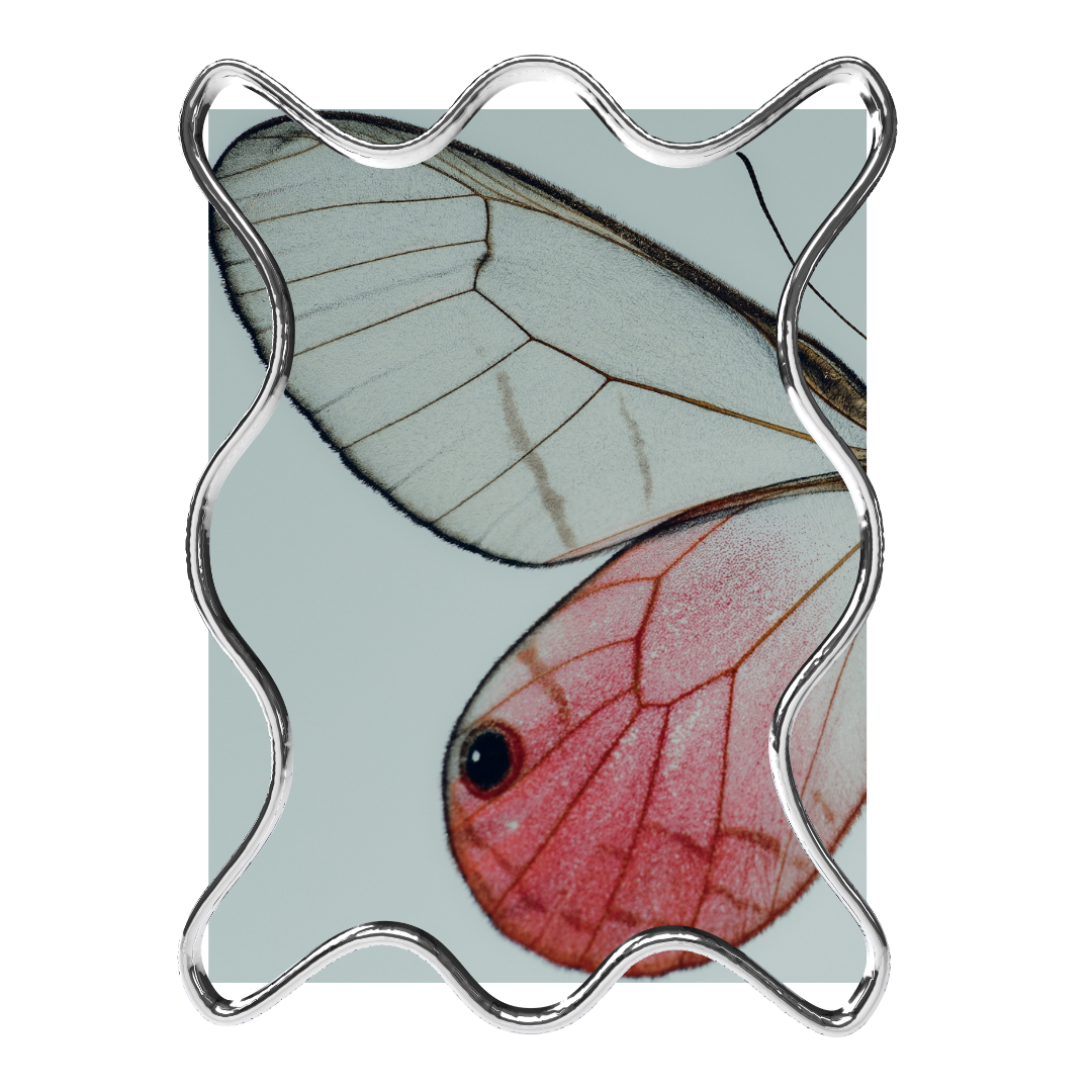 Close-up of two pastel-colored butterflies, one gray and one pink, with intricate wing patterns, framed in a silver wavy frame.