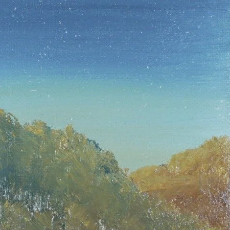Close-up of a star-flecked twilight sky fading from navy to teal-gold above textured treetops