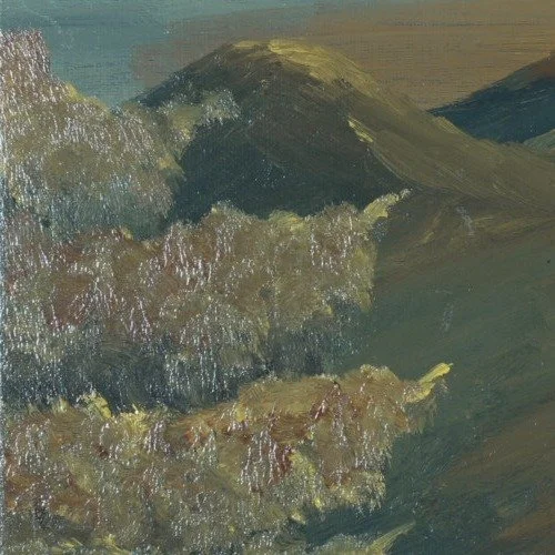 Close-up of textured alpine scrub in rust, gold and sage before the shadowed dome of Mount Eisenhower
