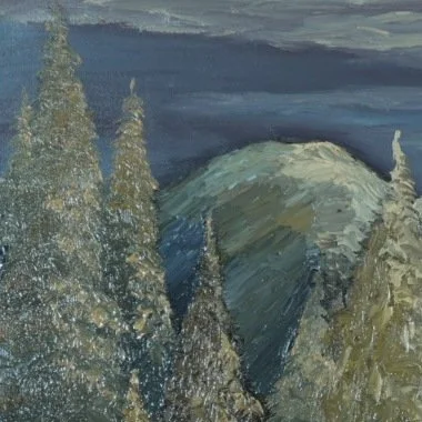 Close-up of glowing spruce trees against a dark winter sky