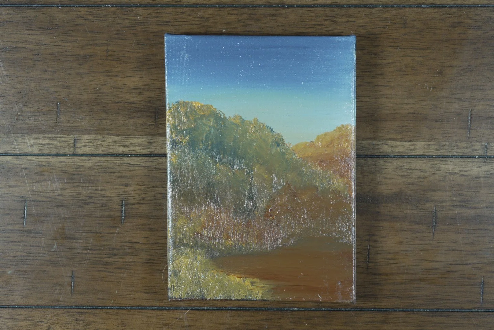 Unframed 5x7 canvas of a twilight sky over a thicket, shown on a wood floor