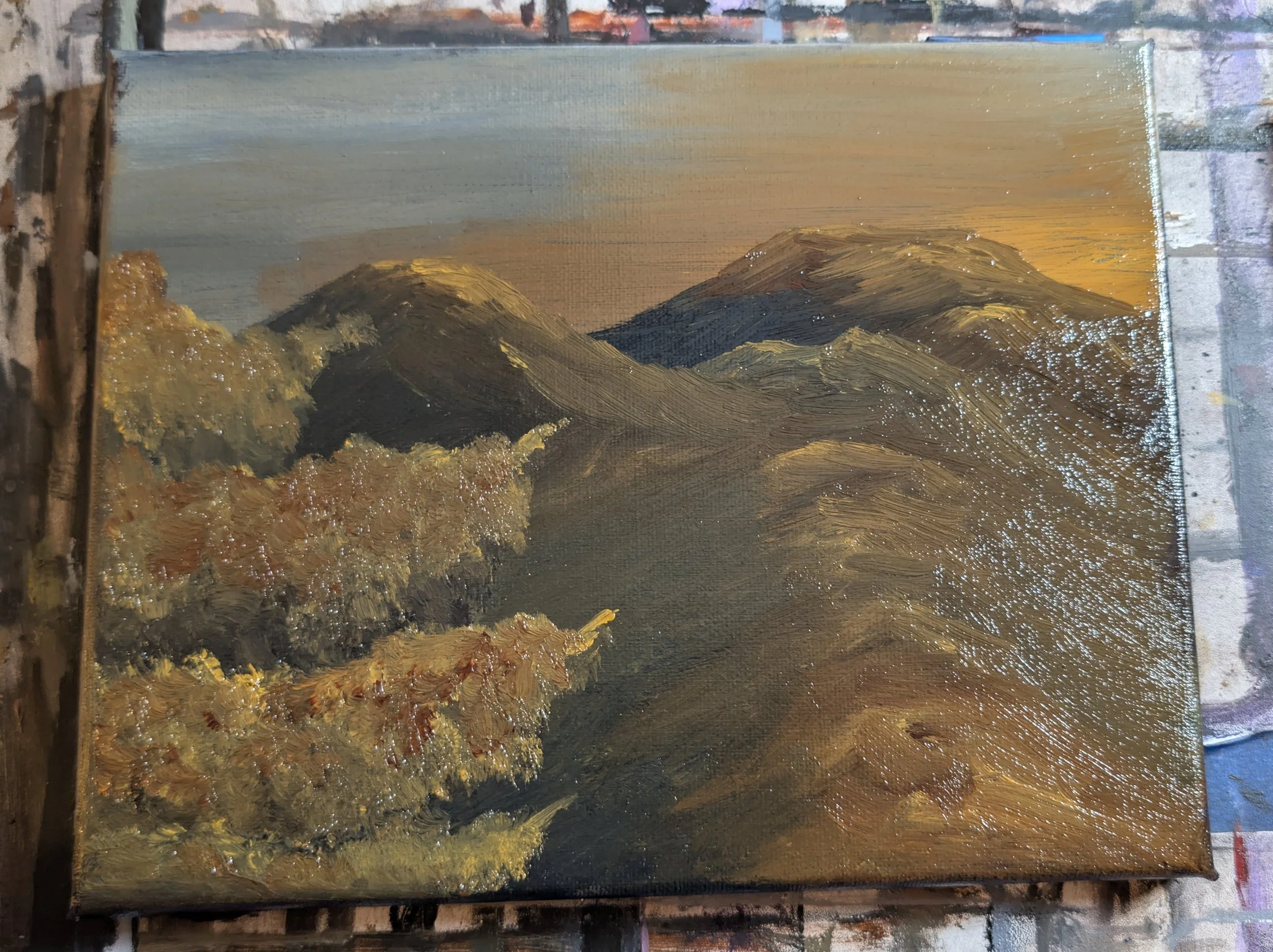 20 Pack Canvases for Painting with 8x10