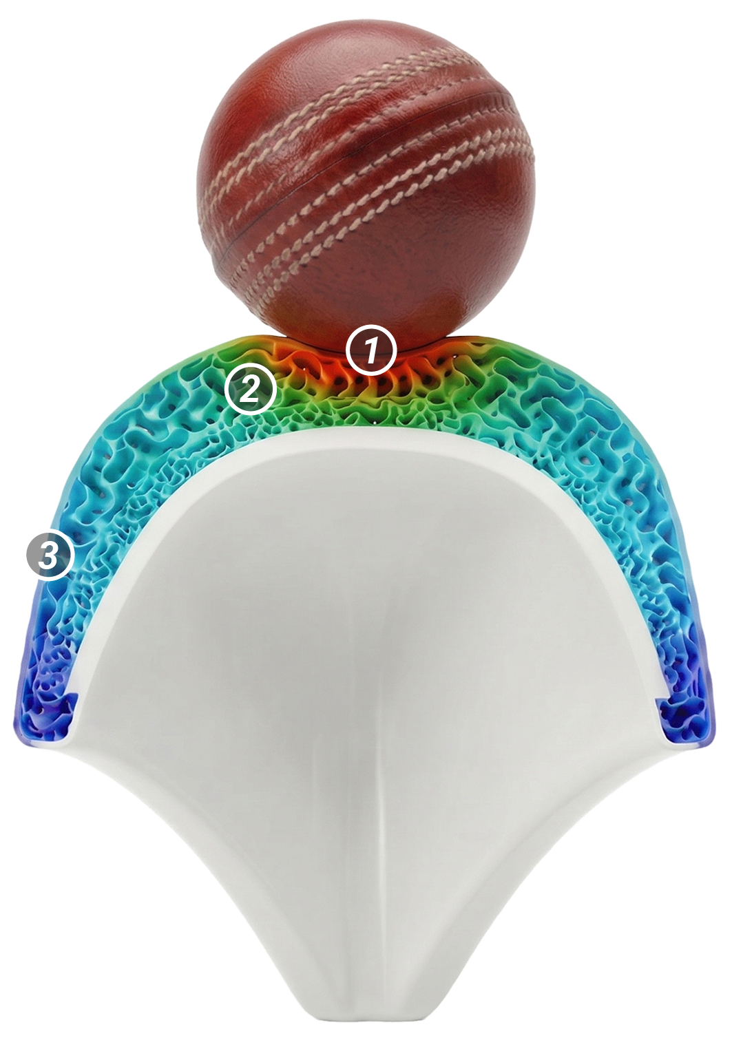 Close-up view of a cricket ball on top of a cross-sectional diagram of a cricket ball showing internal layers. The cross-section highlights layers labeled 1, 2, and 3, illustrating the different materials and construction of the ball.