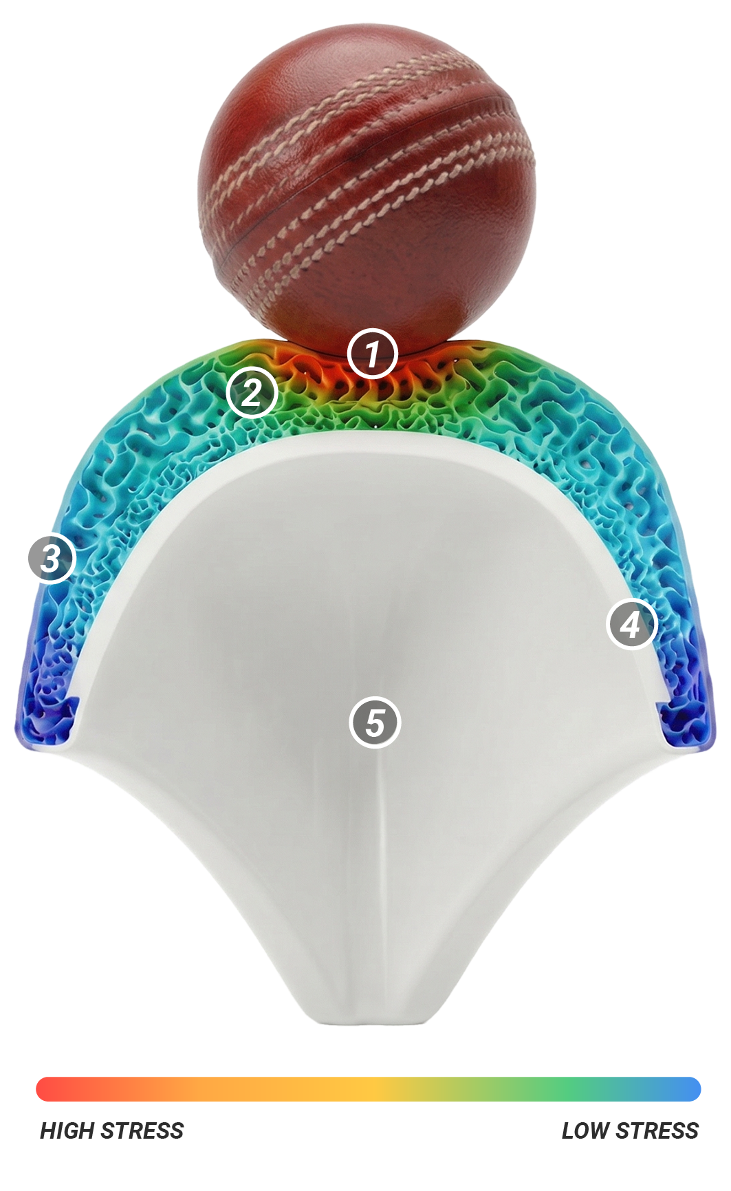 Illustration of a cricket ball on a sewn seam with a cross-section of a cricket helmet showing layers including the outer shell, impact absorbing layer, padding, and interior lining.