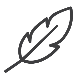 Simple line drawing of a leaf