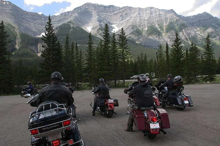 Group of motorcyclists resting in a scenic mountain area with pine trees and snow-capped peaks.