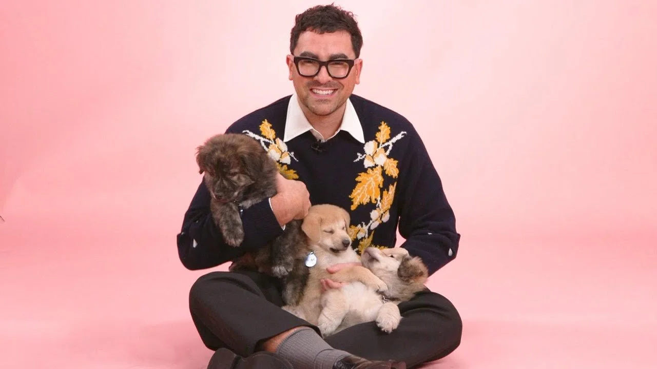 A man sitting cross-legged on the floor holding four puppies against a pink background. The man is wearing glasses, a white collared shirt, and a dark sweater with yellow and white floral patterns. He is smiling and looking at the camera.