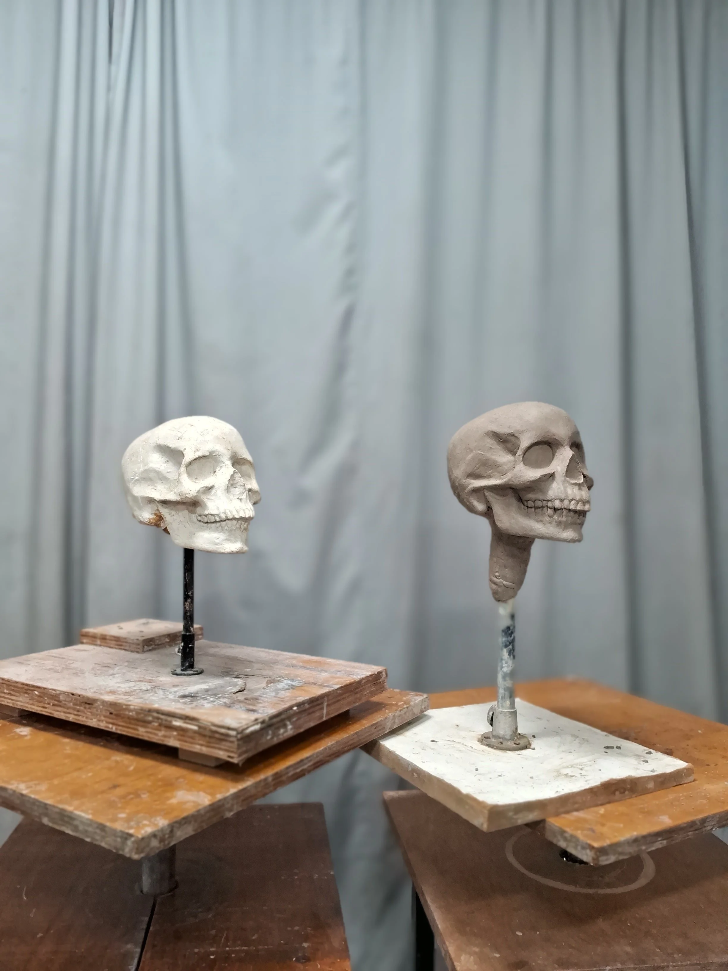 Study of a skull, clay, 2024