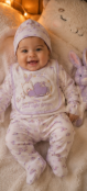 Bunny Dreams Sleep Purple Collection .png