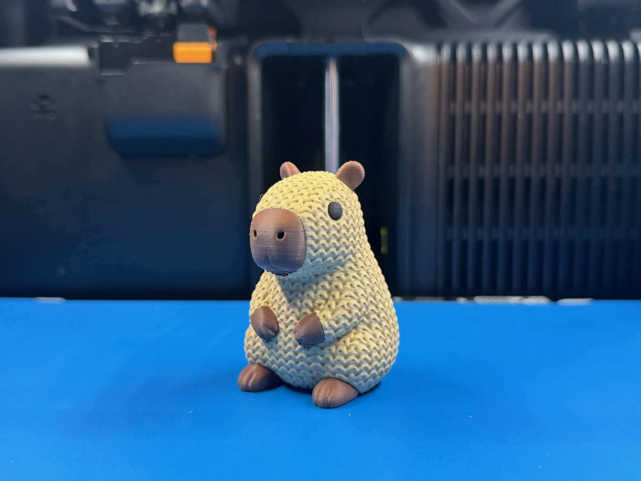 Cappy the capybara has arrived