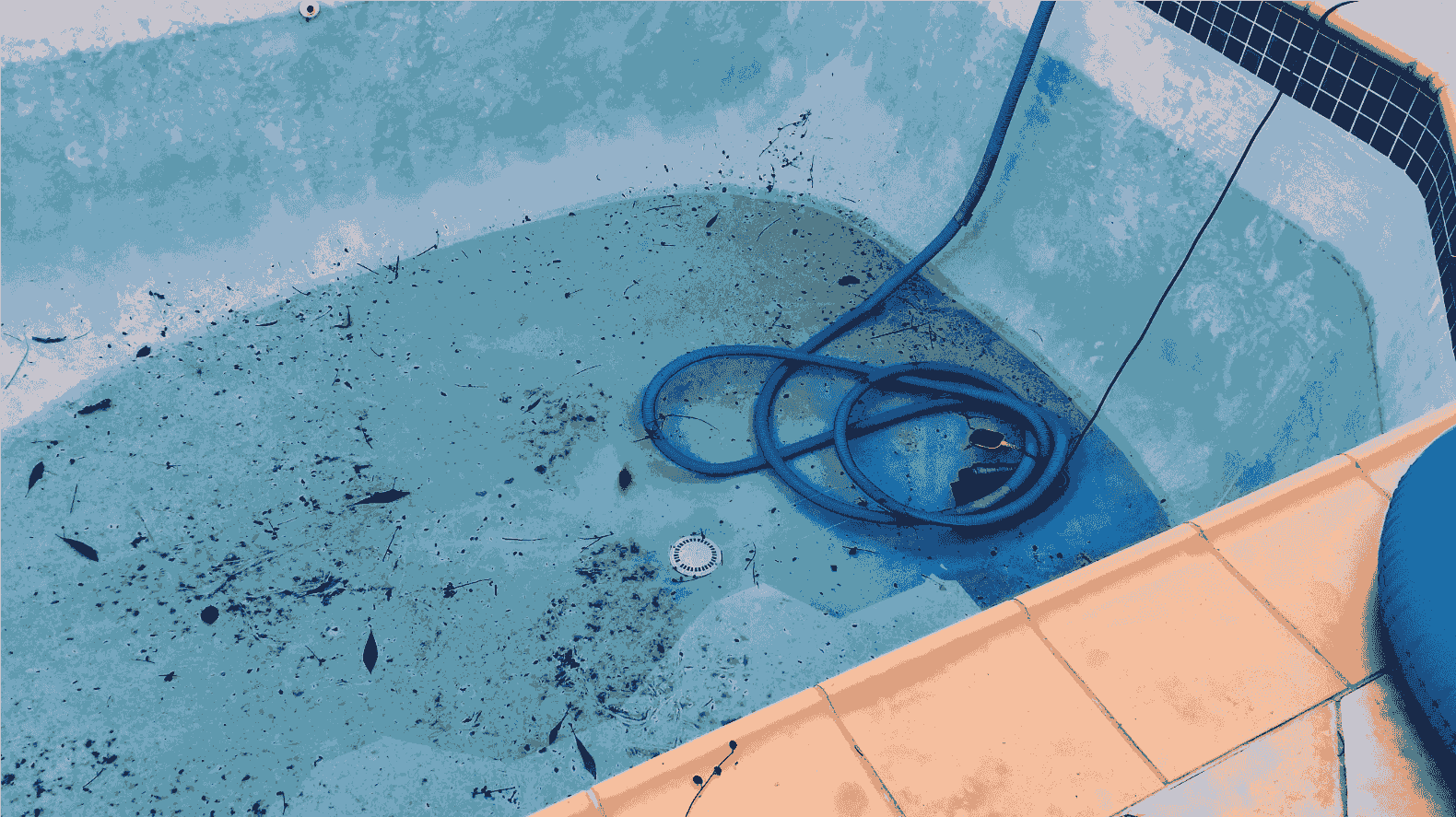 Empty swimming pool with dirt, leaves, and debris at the bottom, a blue pool hose, and a drain cover.