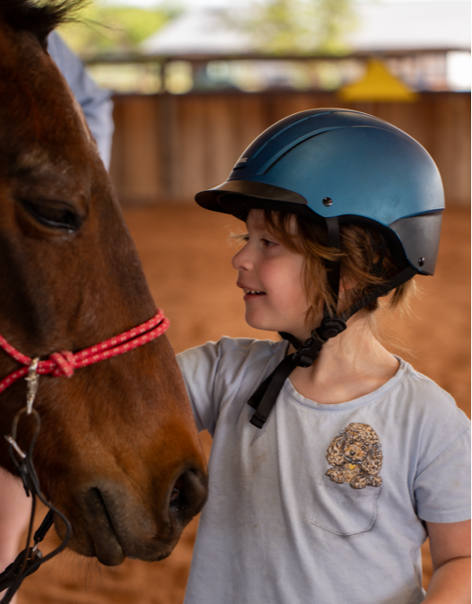 Young girl wearing a blue riding helmet smiling at a brown horse in a riding arena.