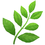 Close-up of green tea leaves with purple undersides.