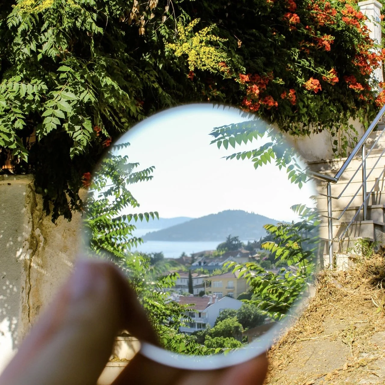 Learning How to See — A Different Way to Experience the Island