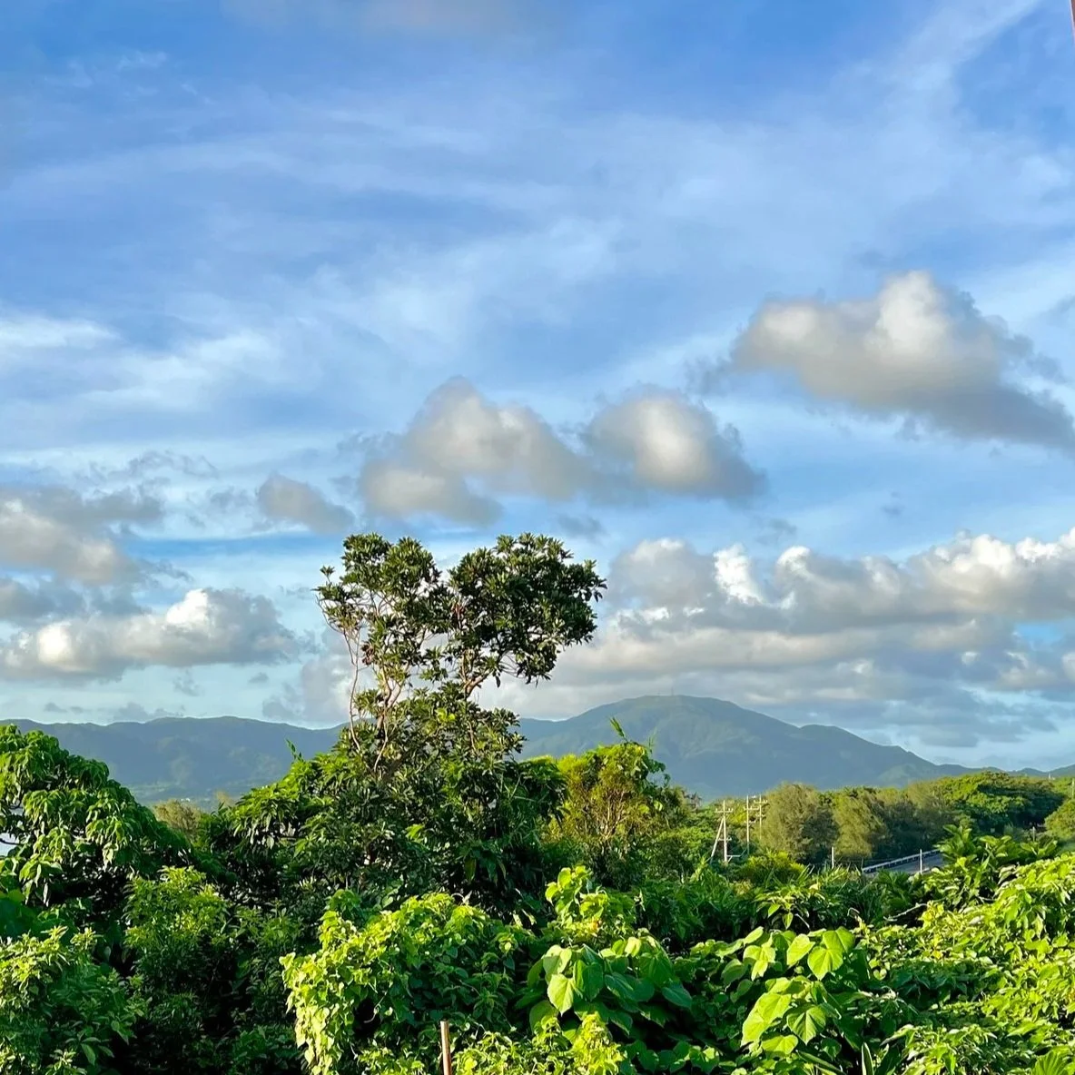 Mt. Omoto : The Mountain That Made Ishigaki Island