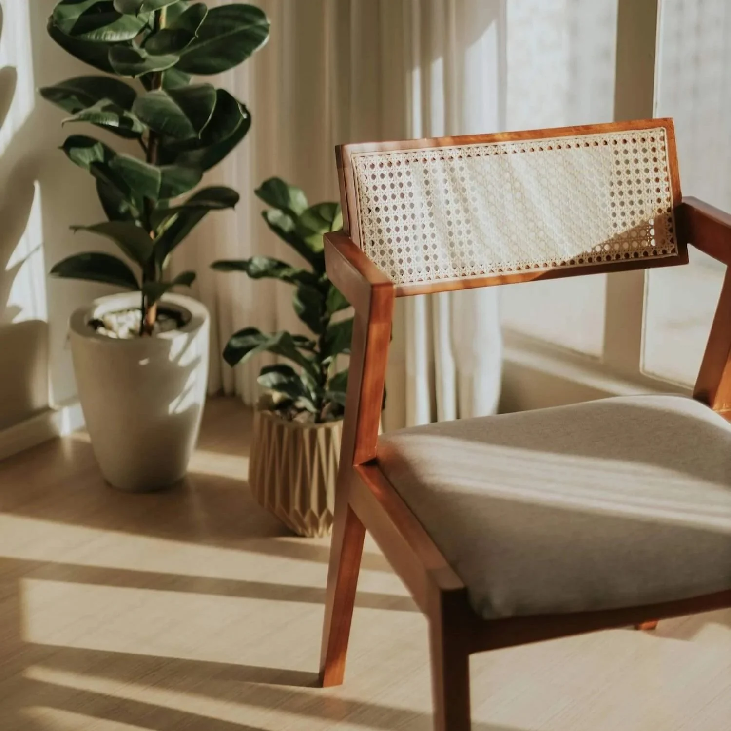 Calm, welcoming space with indoor plants and comfortable arm chair for 1:1 kinesiology and coaching sessions