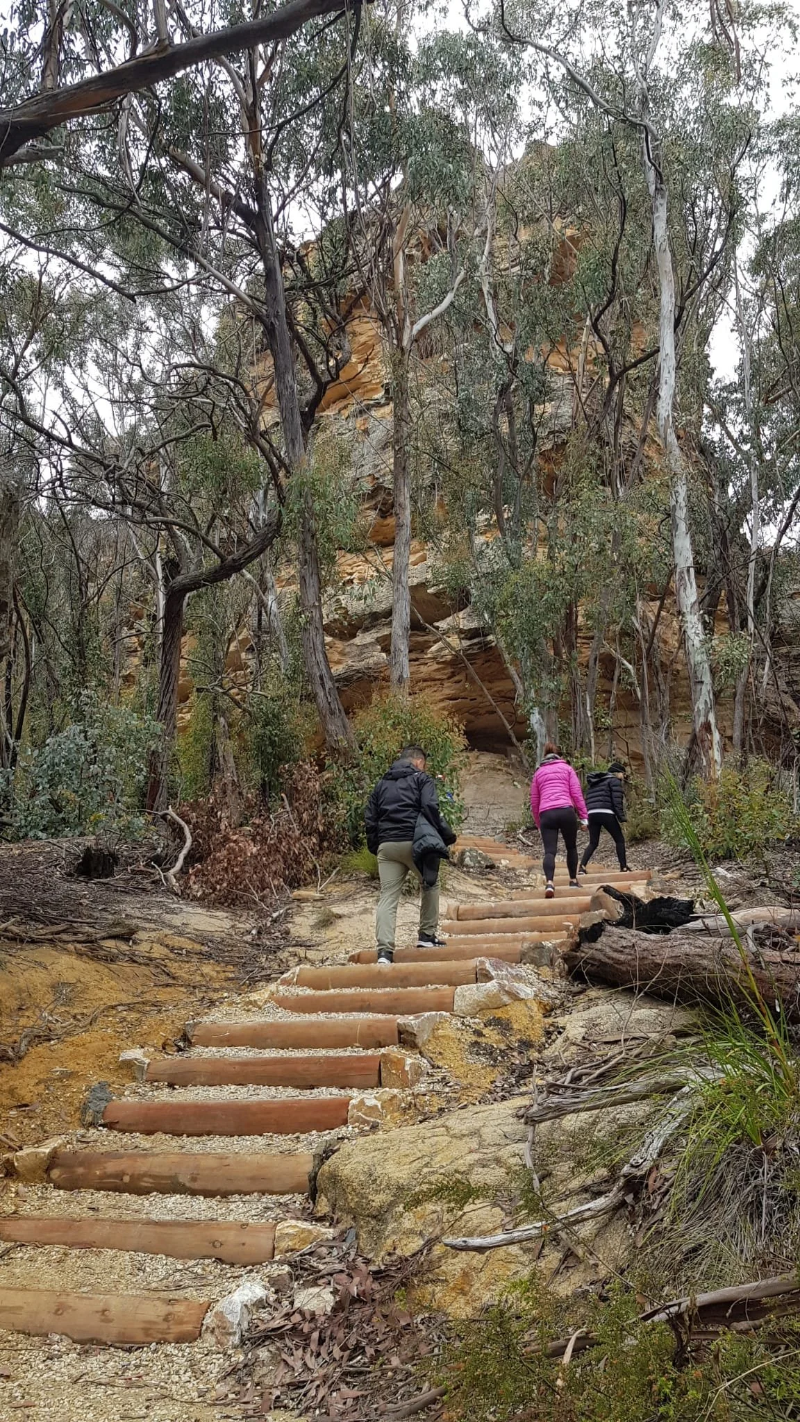 Three people with jackets hiking up a trail with wooden steps in a forest, with trees and a rocky cliff in the background.