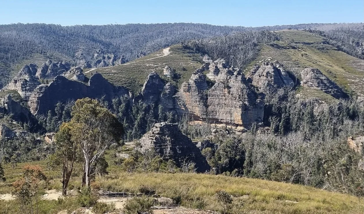 Scenic view of rugged mountain terrain with rocky cliffs, sparse trees, and grassy patches on a clear day.