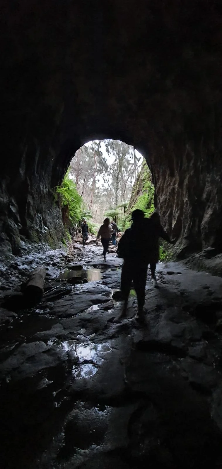 View from inside a dark cave looking out to a forested area with hikers walking through a rocky, wet trail.