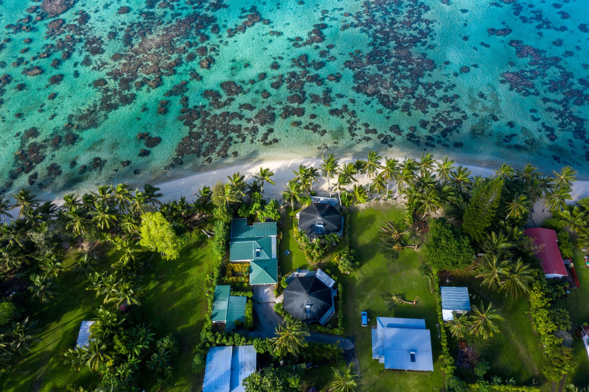 Protecting Paradise