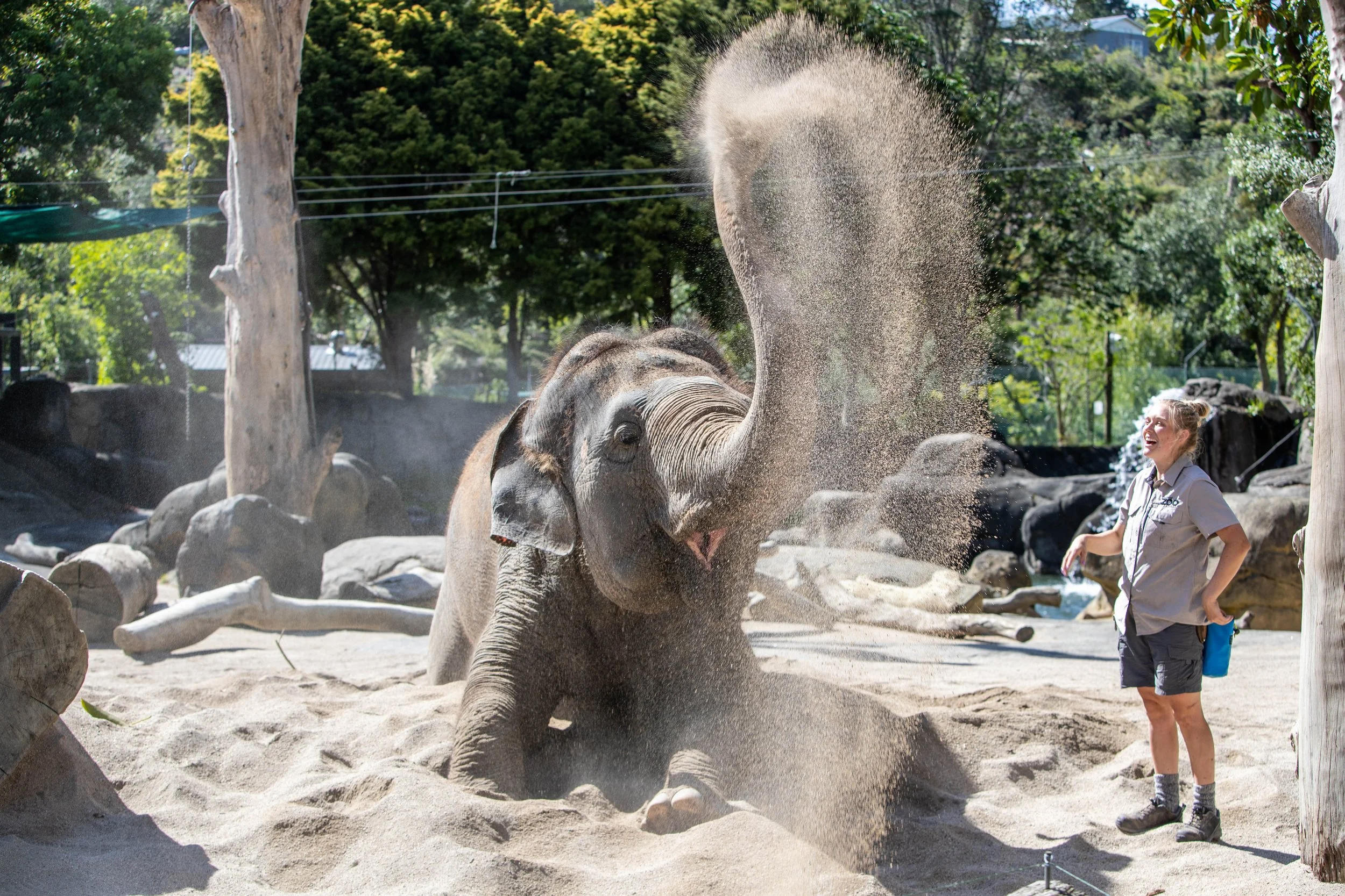 07-elephant-6.JPG