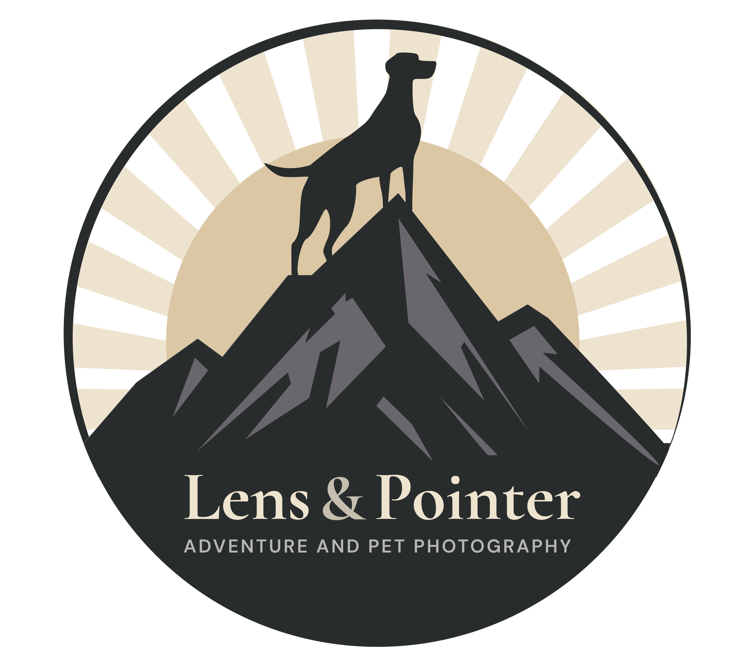 LENS &amp; POINTER