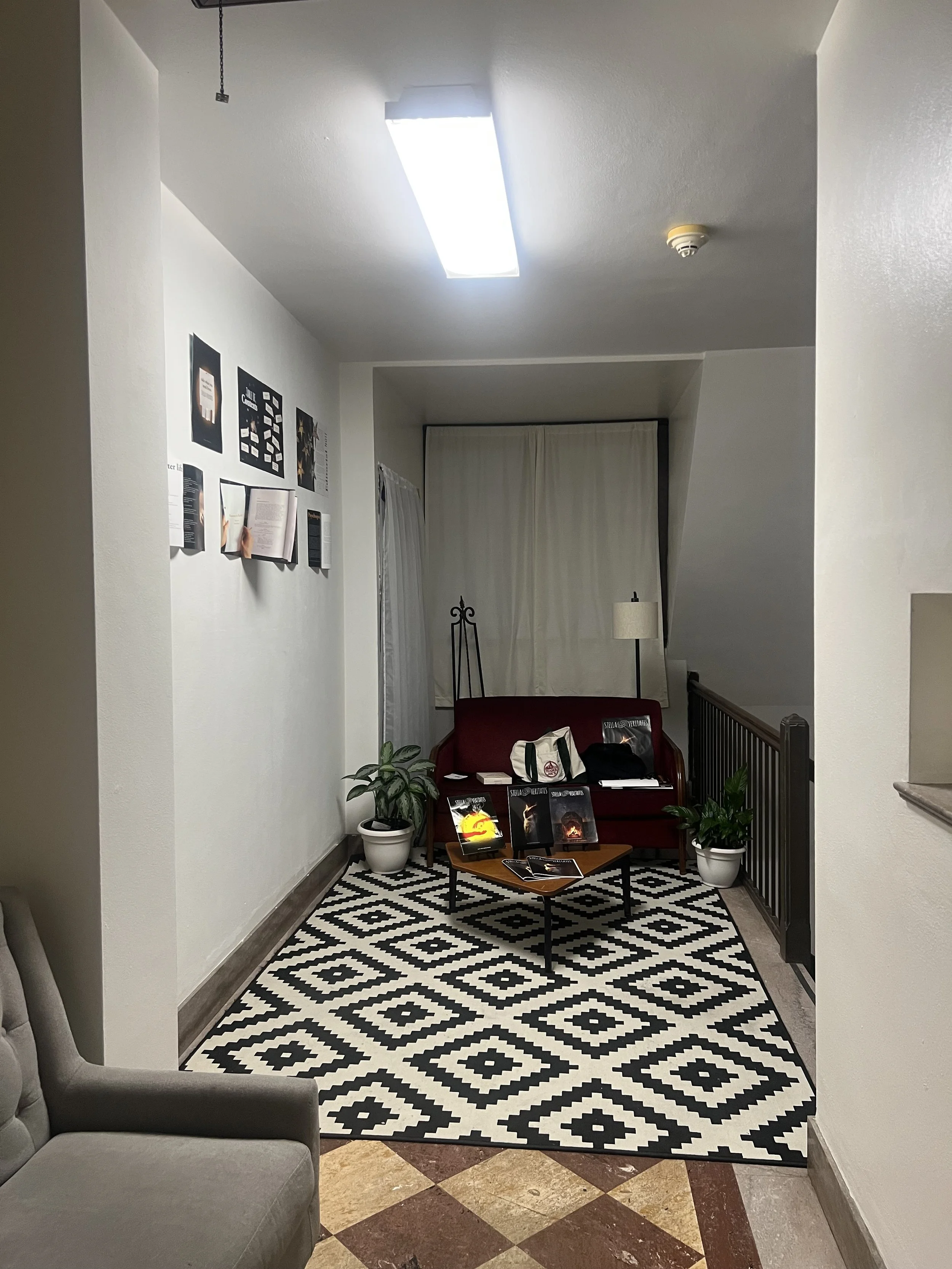 Placed Furniture/ Layouts