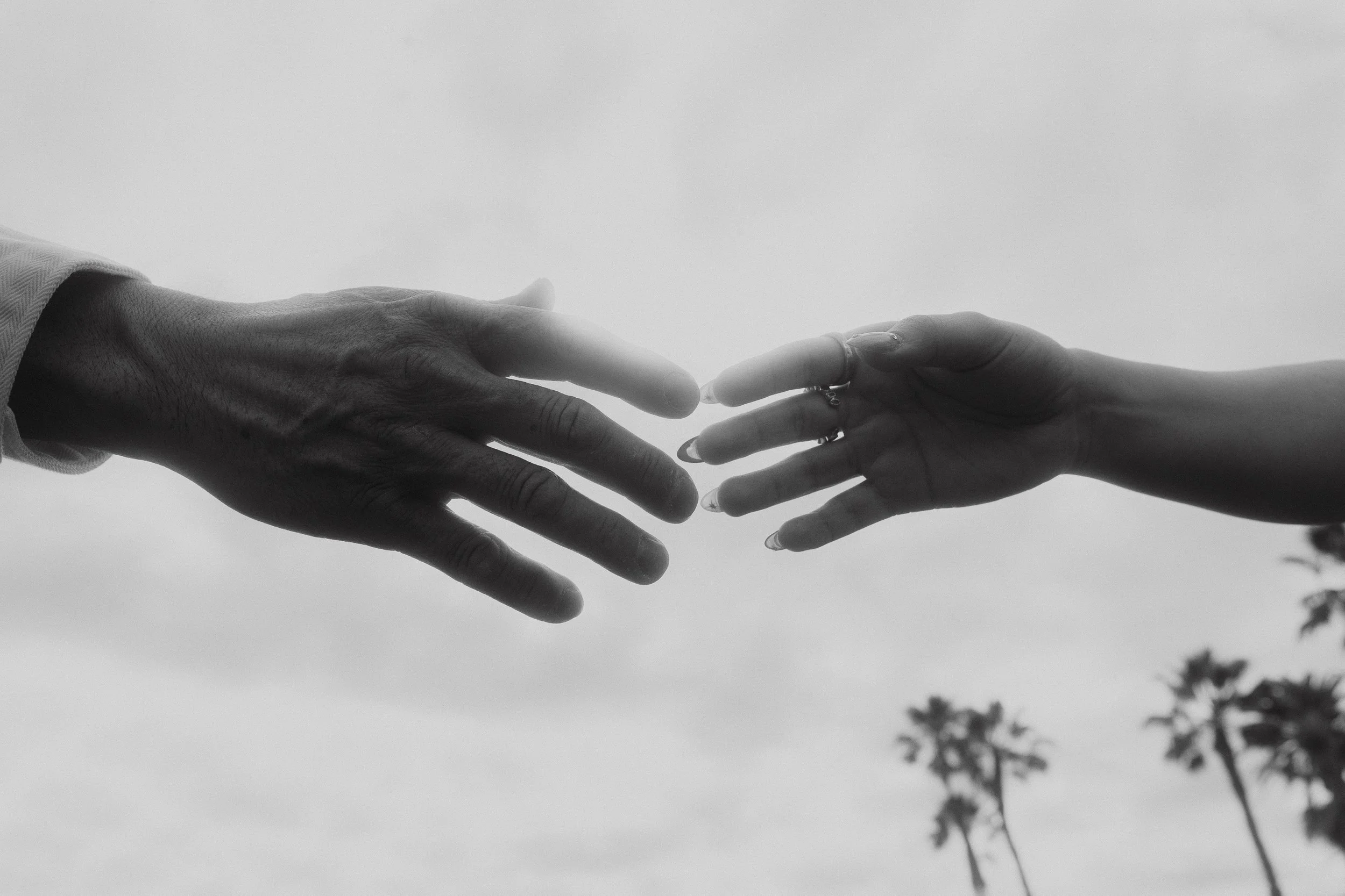 Two hands reaching towards each other against a plain background with a tree in the distance.