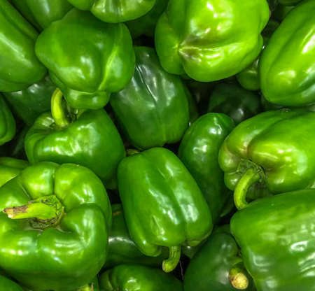 A pile of fresh green bell peppers.