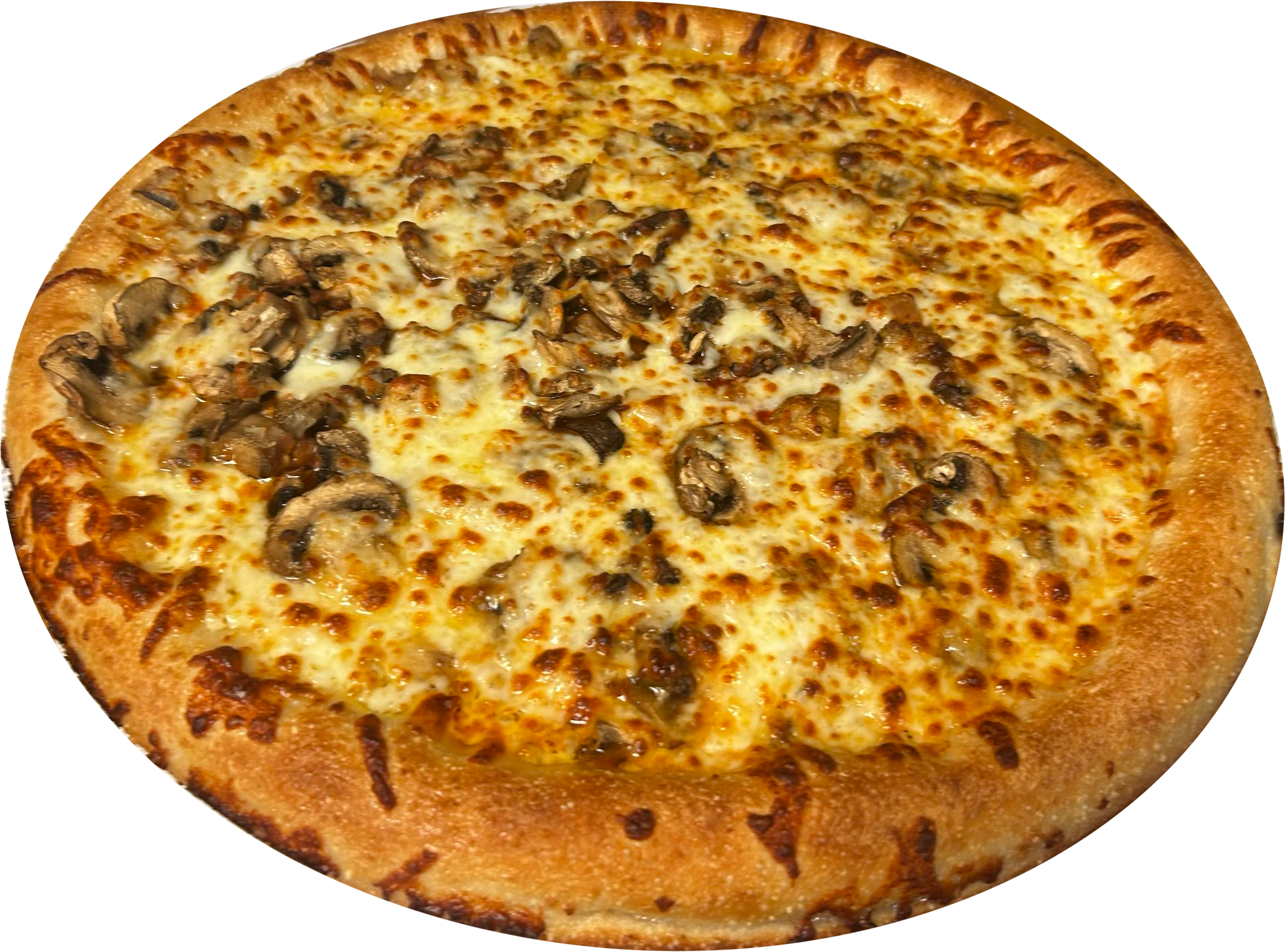 A cheese pizza with sliced mushrooms and a golden crust.