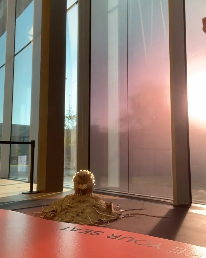 Innig tevreden en helemaal zen de laatste puntjes op de i zetten voor de opening van onze nieuwe waan-zin-nig-ge tentoonstelling. De fantastische werken van @margrietvanbreevoort (die alle studenten tot stilstand brengen om te kijken) gecureerd door 