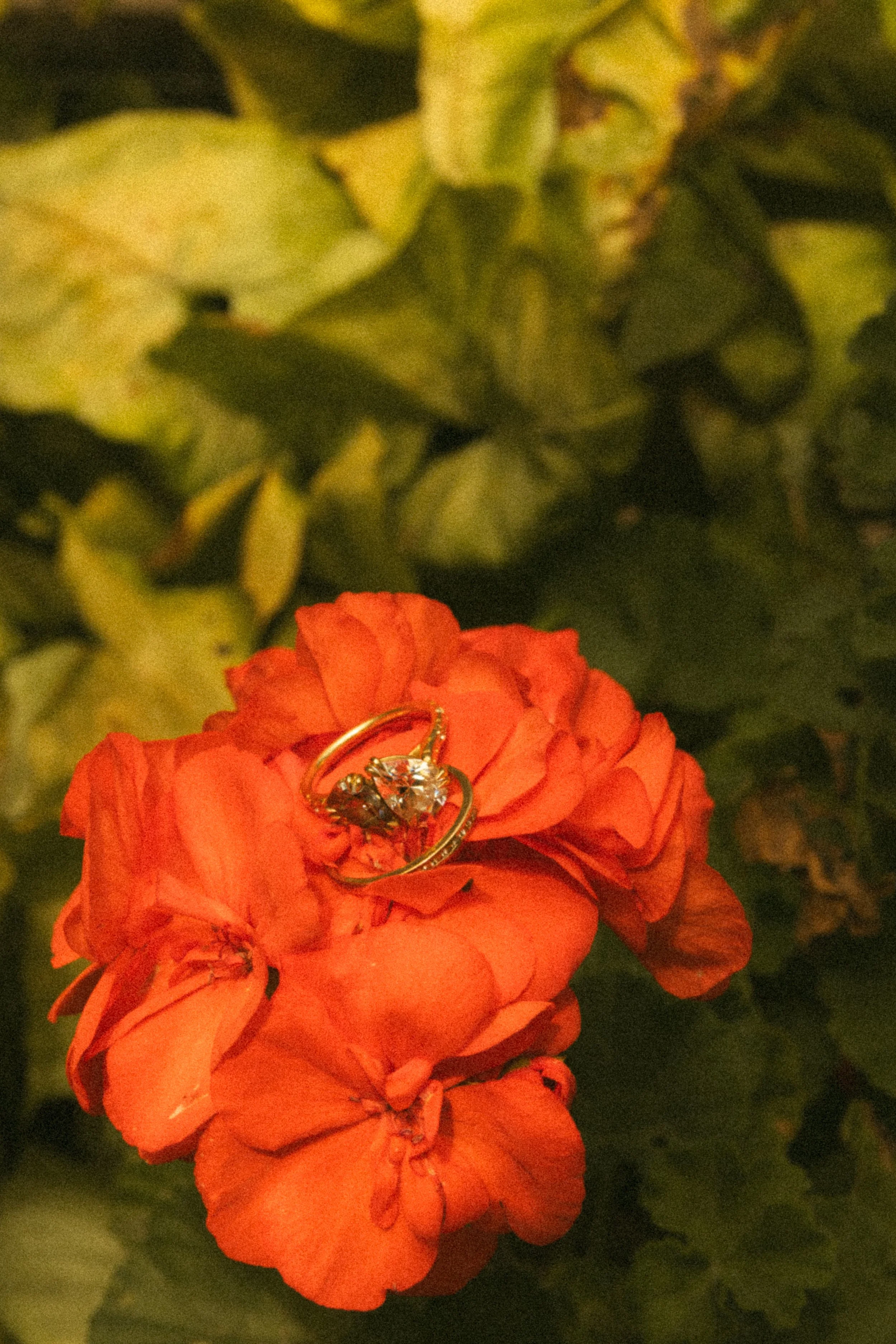 666A3742.jpg