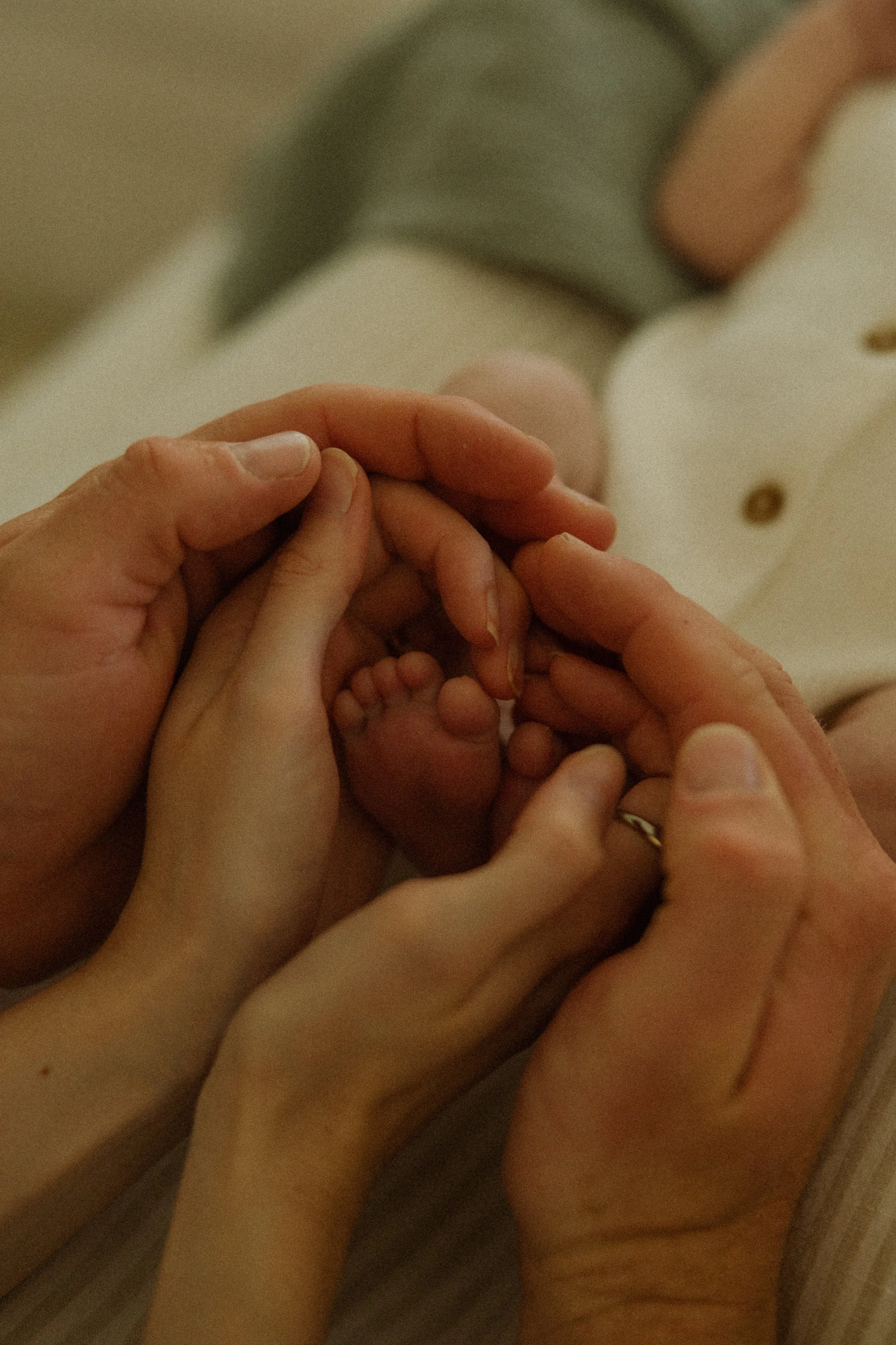 666A9172-2.jpg