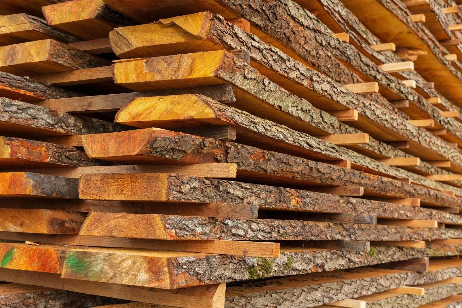 Stacked lumber with rough bark on edge and smooth cut surfaces, some painted with green, orange, and yellow.