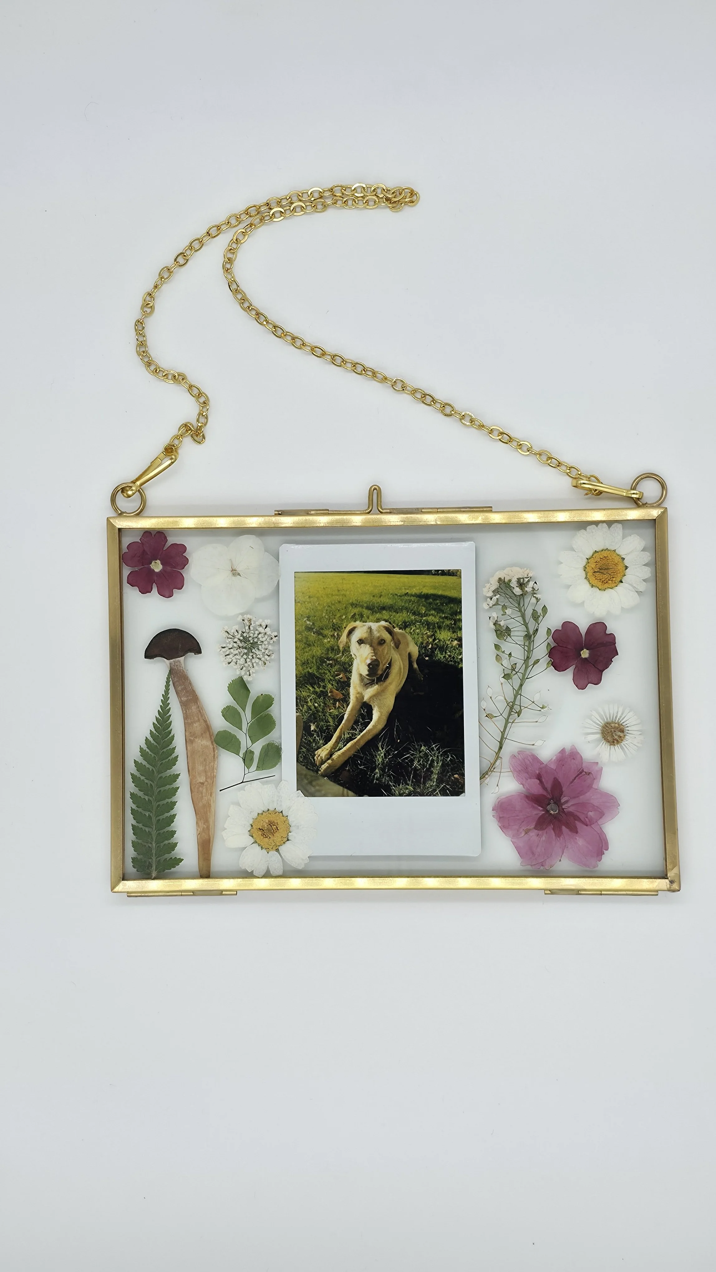 Gold photo frame containing pressed flowers and a printed picture of a dog in a grassy field, attached by a chain.