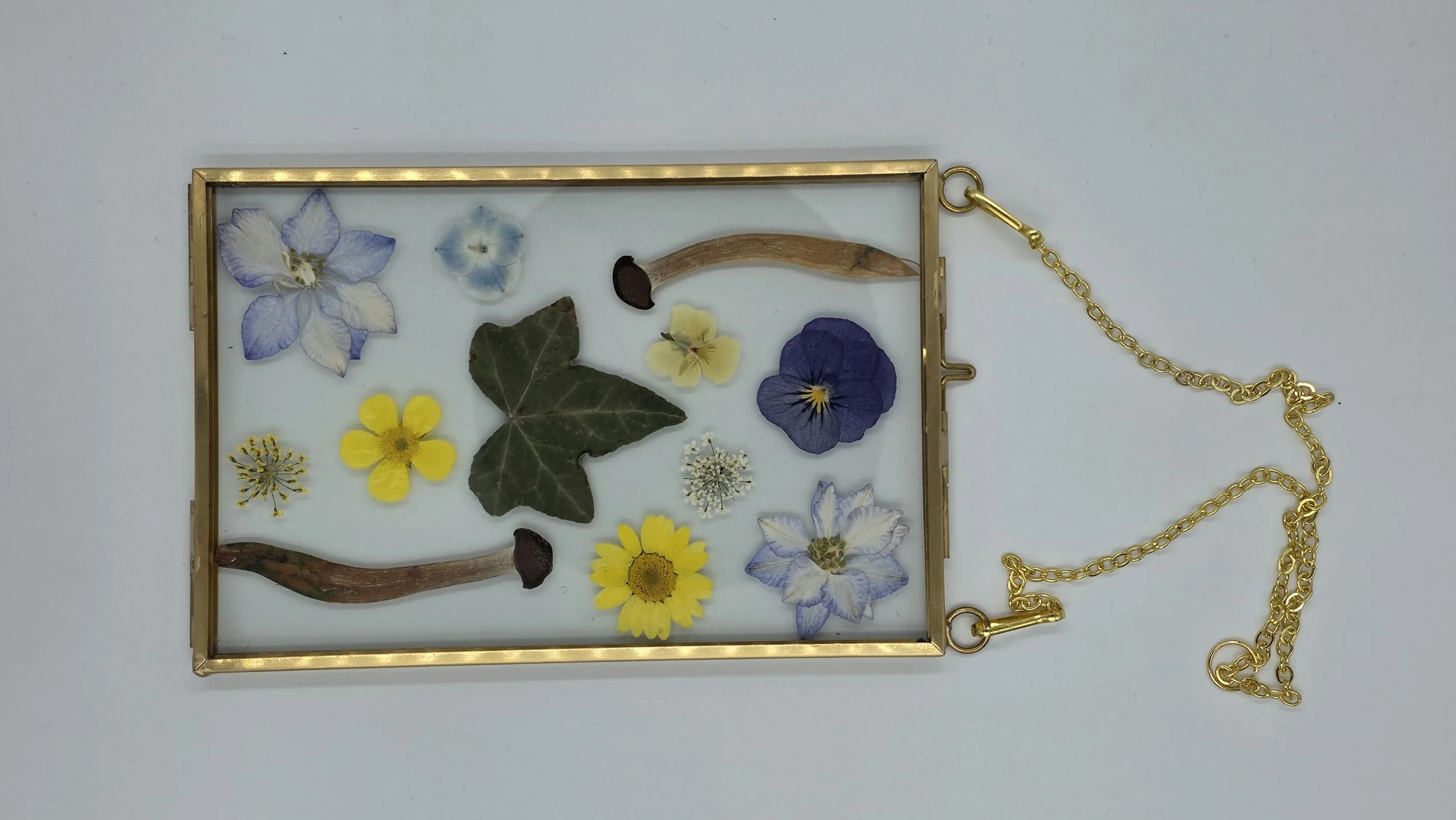 A glass display case contains various pressed flowers, leaves, and small plant parts, with a gold chain draped over the case.