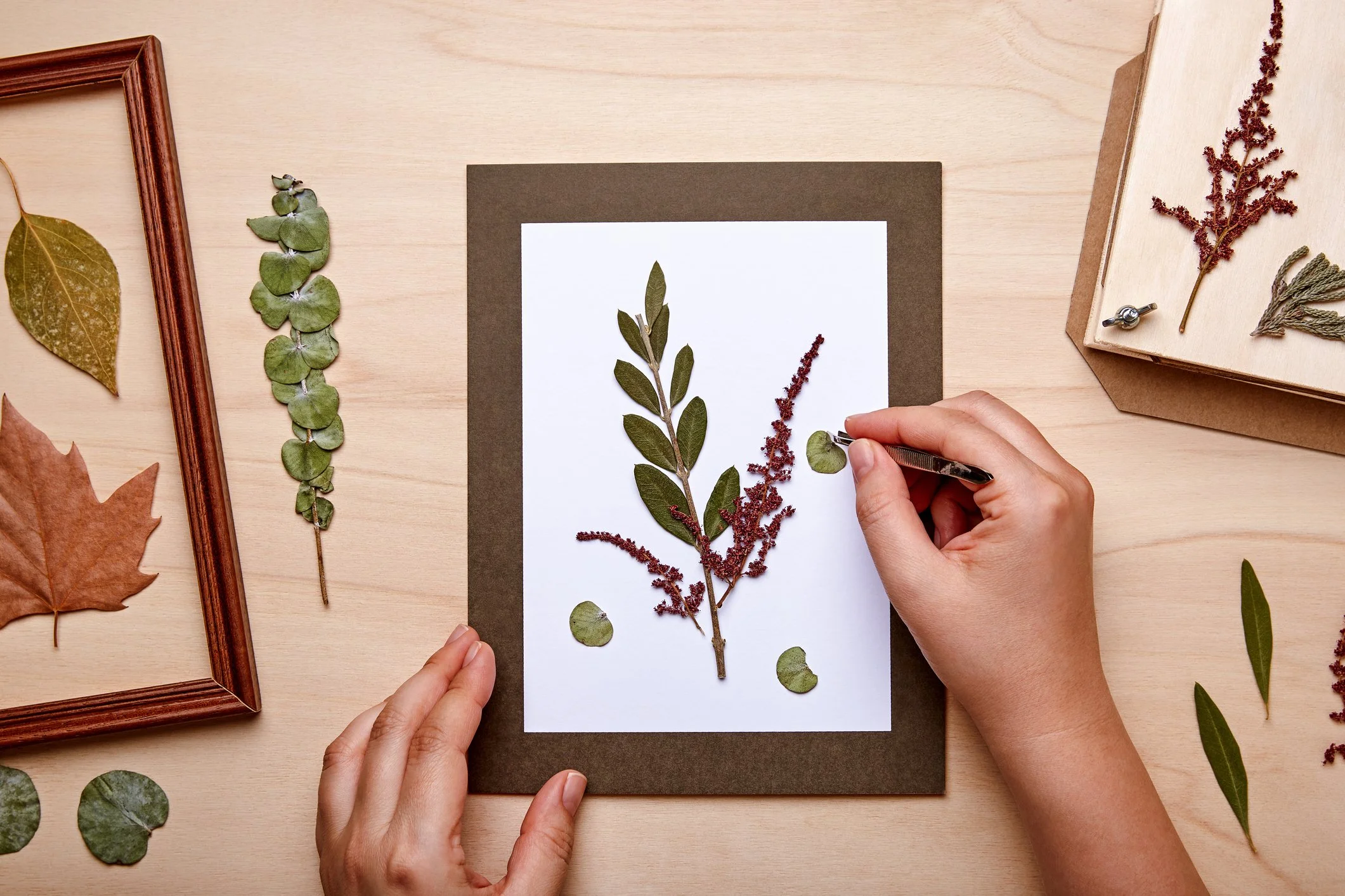 Person arranging pressed leaves and flowers on a white sheet of paper on a light wooden surface, surrounded by additional pressed leaves and flowers, with a wooden picture frame and a box of pressed flowers in the background.