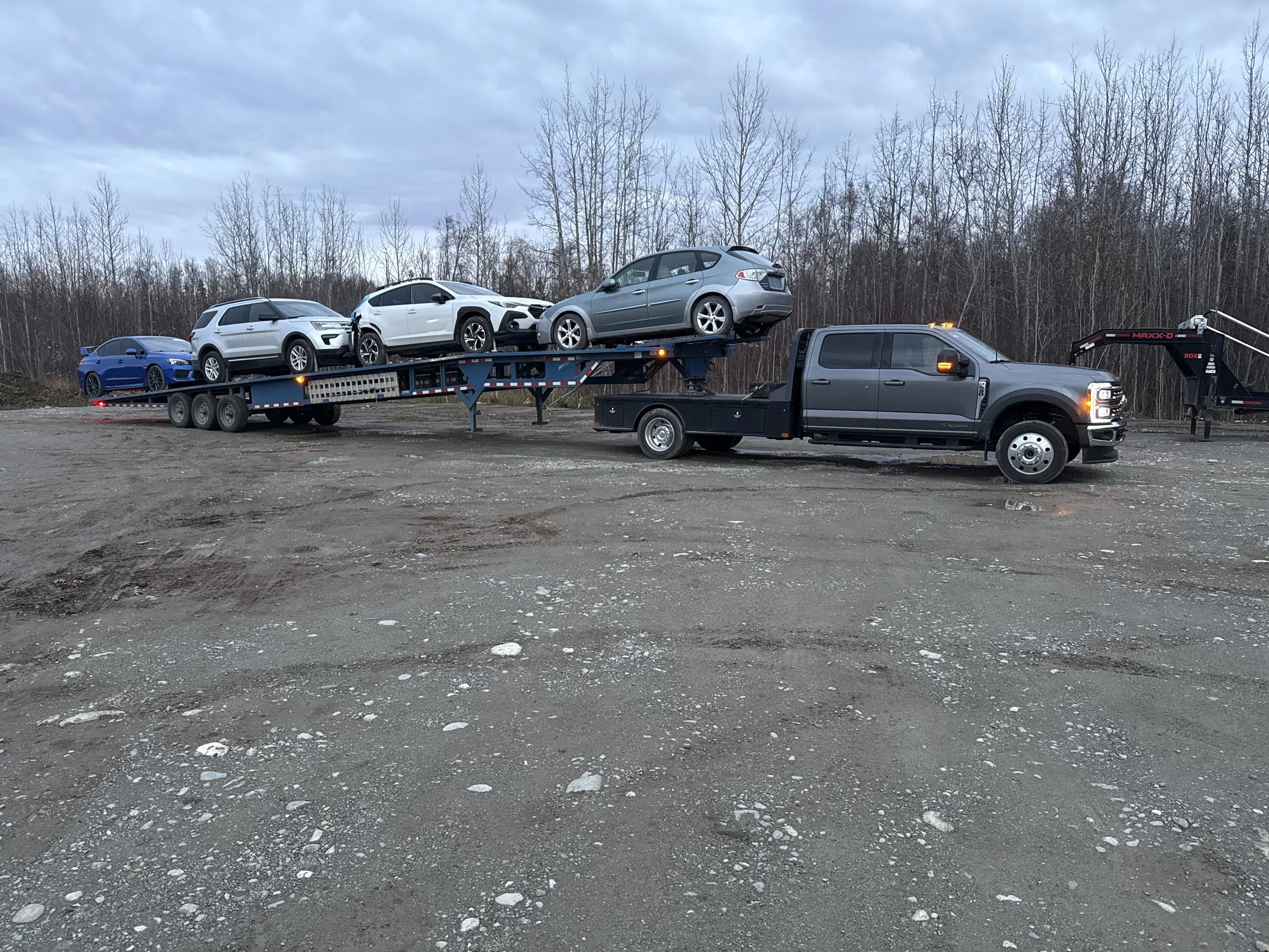 A flatbed truck transporting five cars, including three white, one blue, and one gray, parked on an uneven dirt lot with leafless trees in the background.