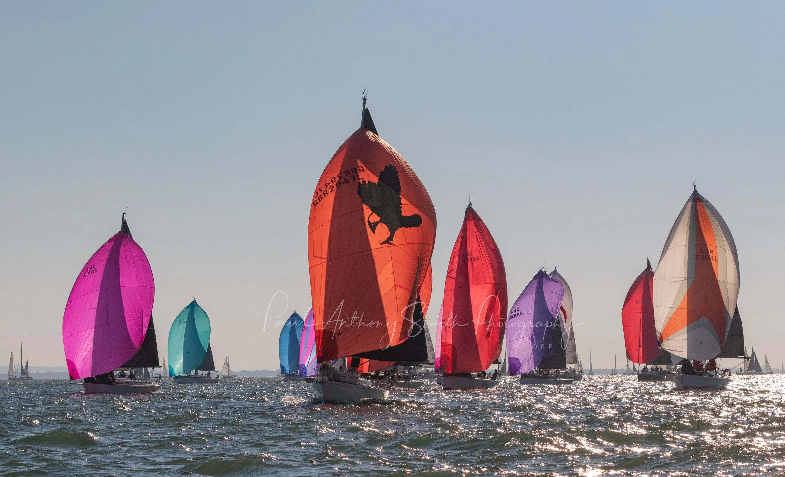 RTIR -6966.jpg