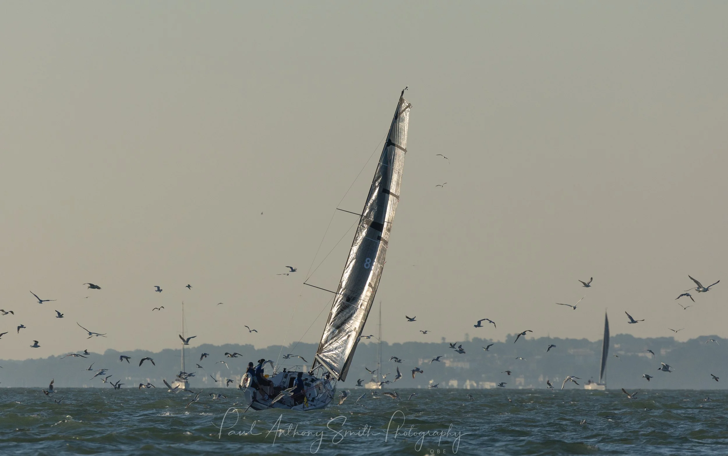RTIR -3657.jpg