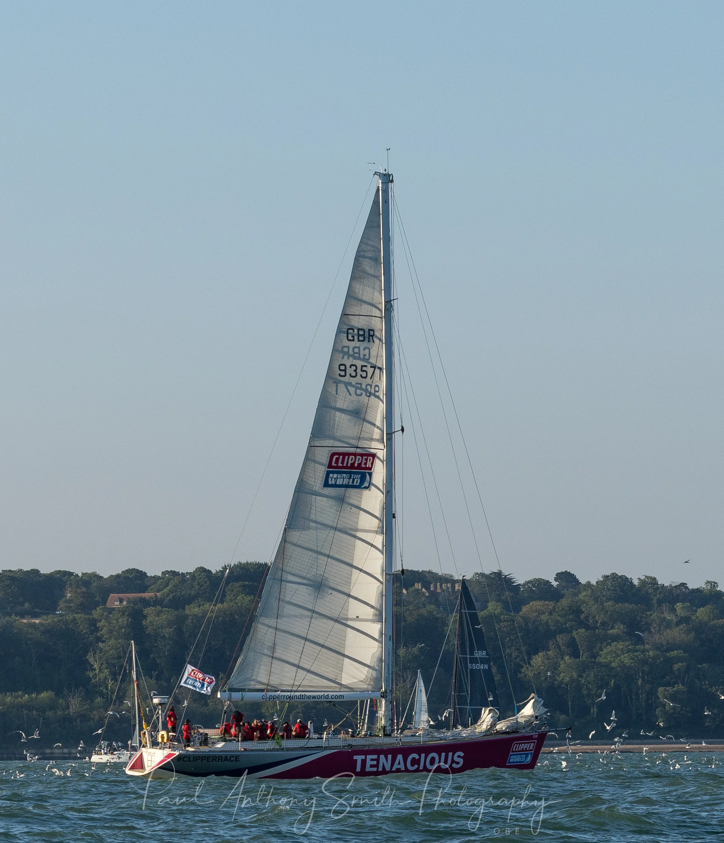 RTIR -3650.jpg