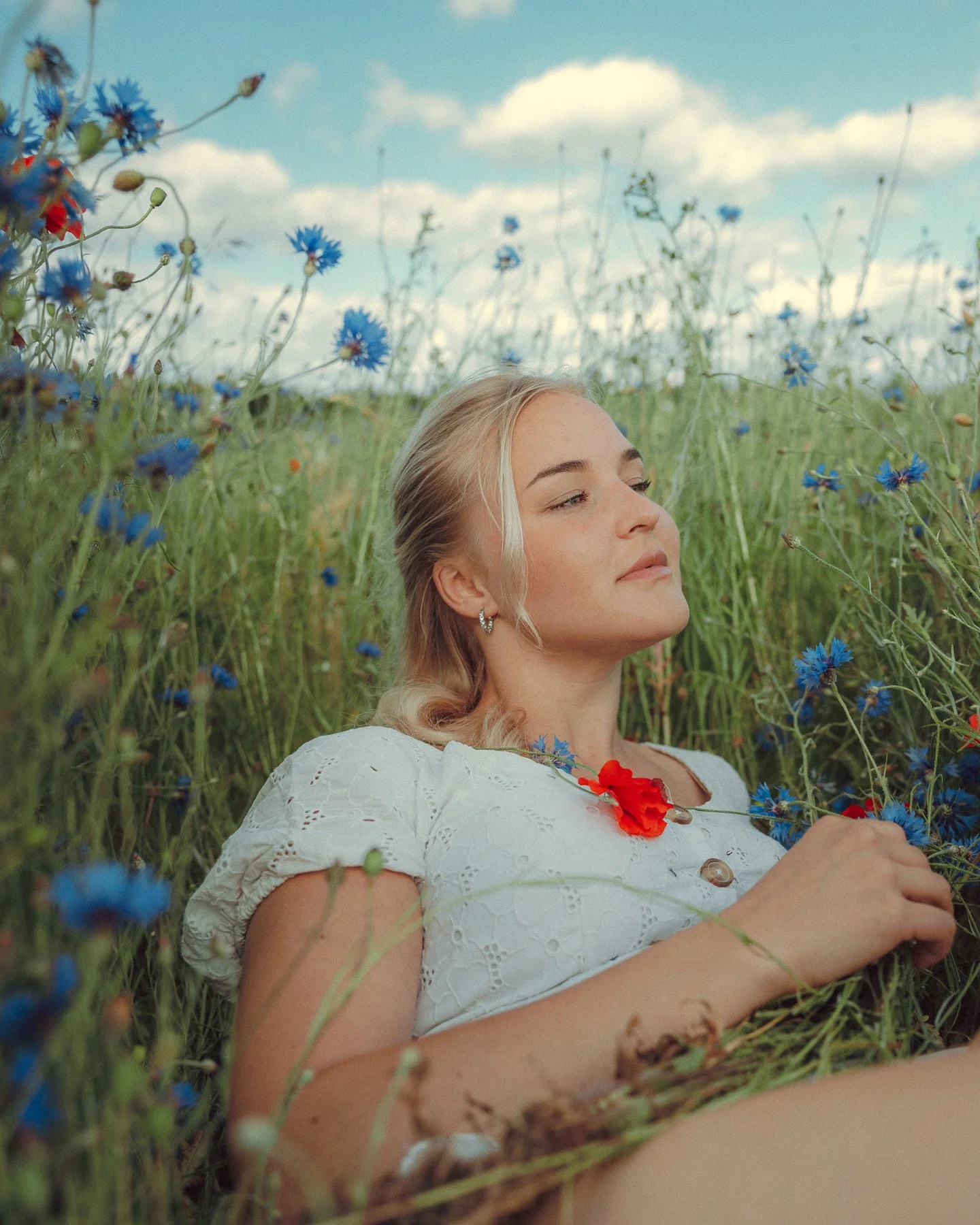 estonian-meadow-portrait-natural-flower-field.jpg