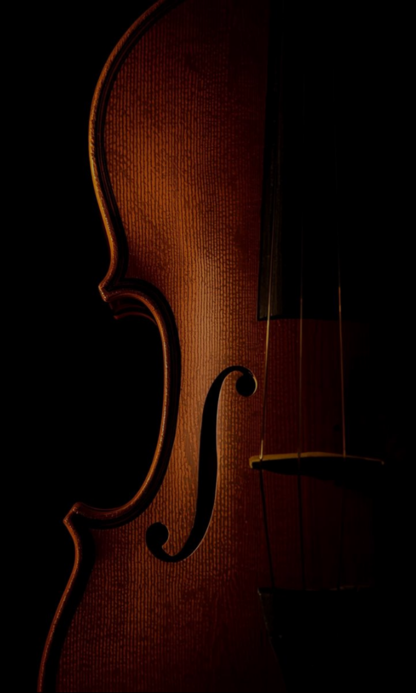 Close-up of a wooden violin body with a f-hole, partially illuminated, against a dark background.